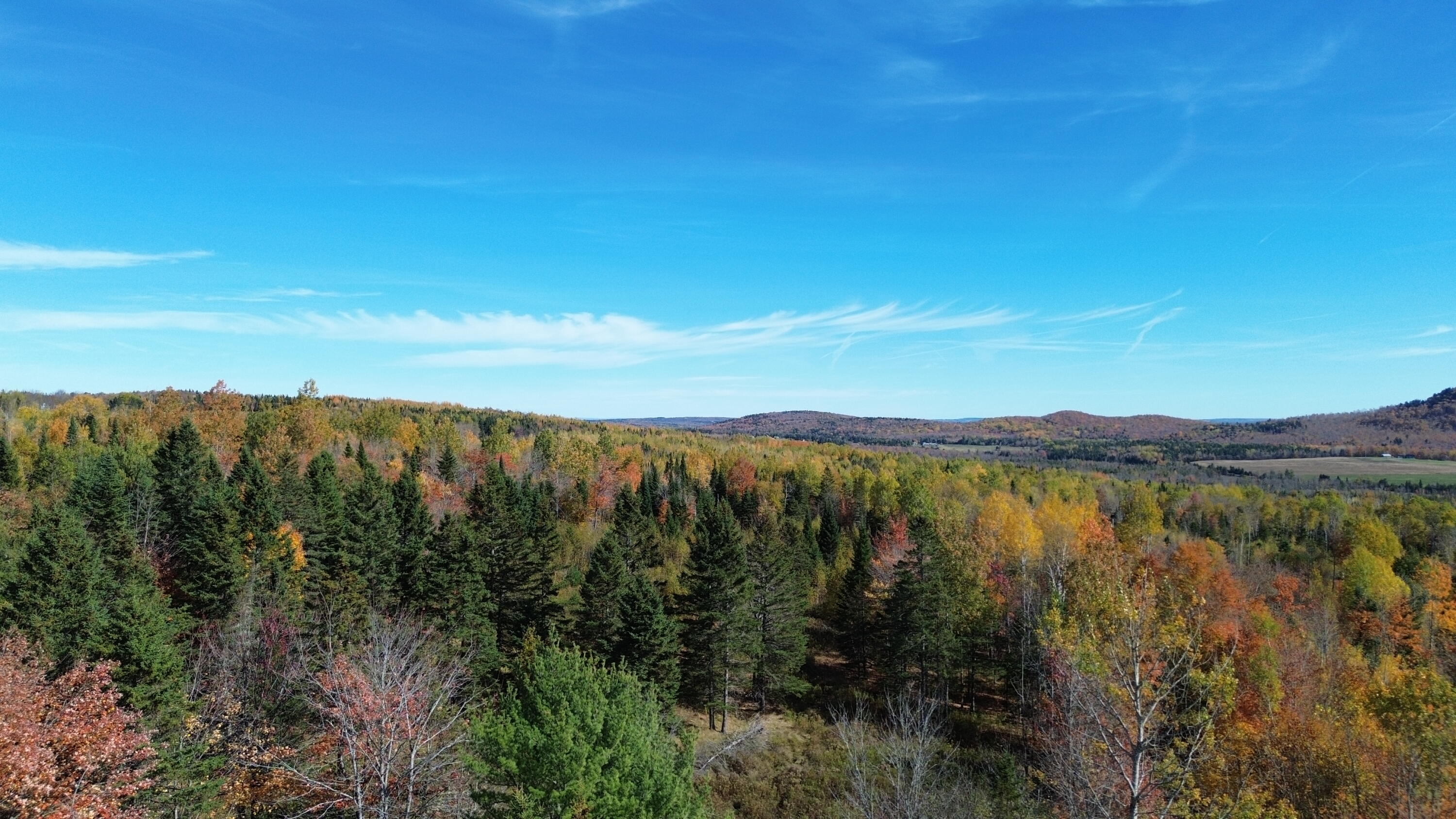 350 Currie Road Smyrna, ME 04780 - Photo 9 of 35 DJI_0524