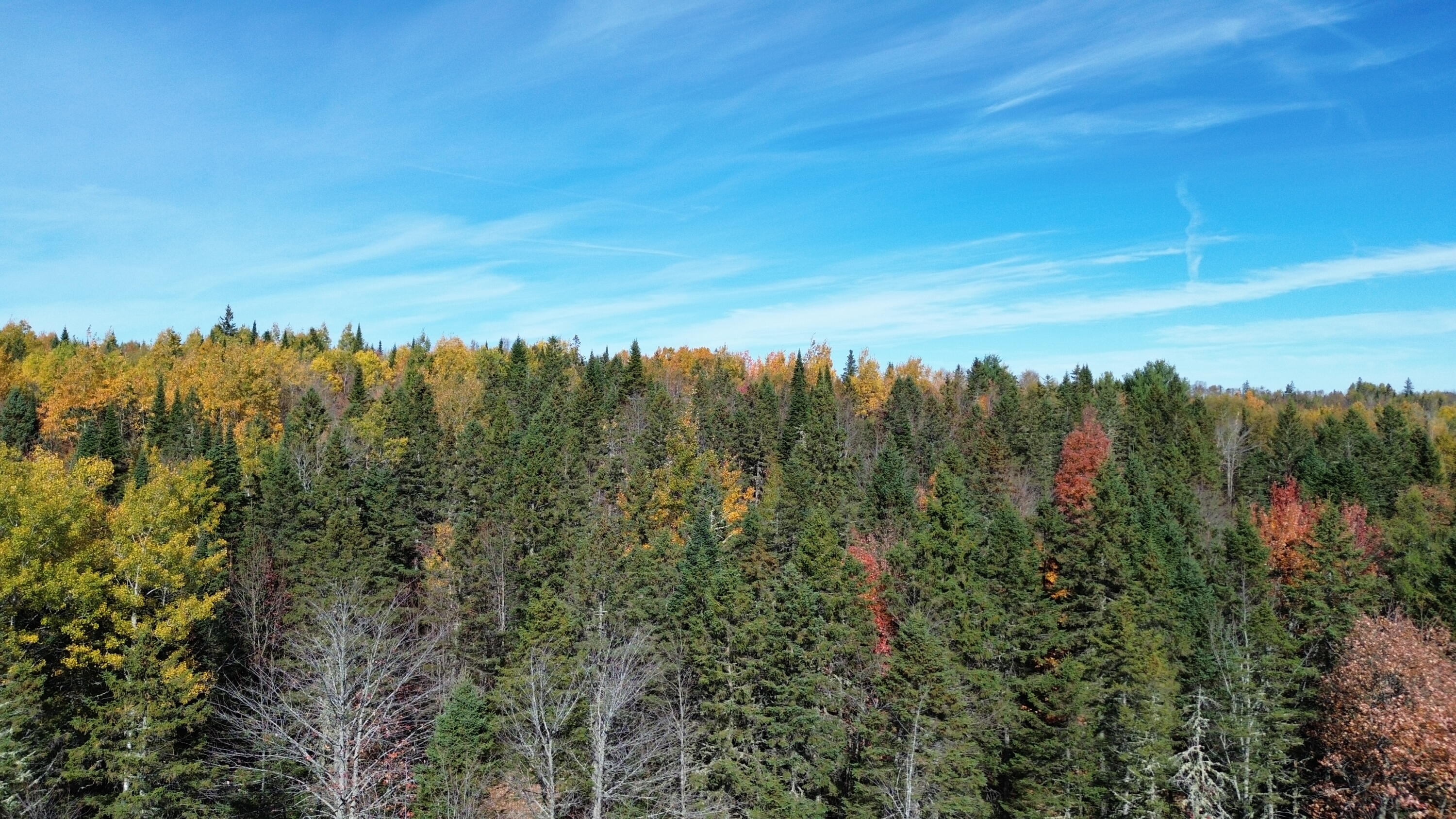 350 Currie Road Smyrna, ME 04780 - Photo 10 of 35 DJI_0526