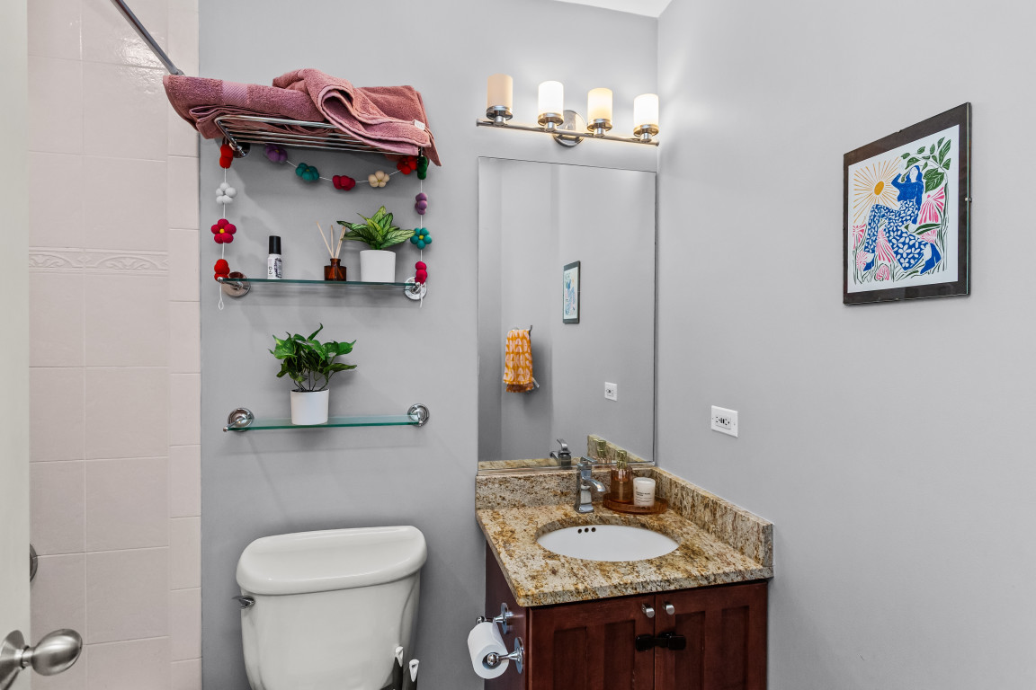 4635 North Malden Street, Unit 3S Chicago, IL 60640 - Photo 18 of 20 a bathroom with a granite countertop sink and a mirror