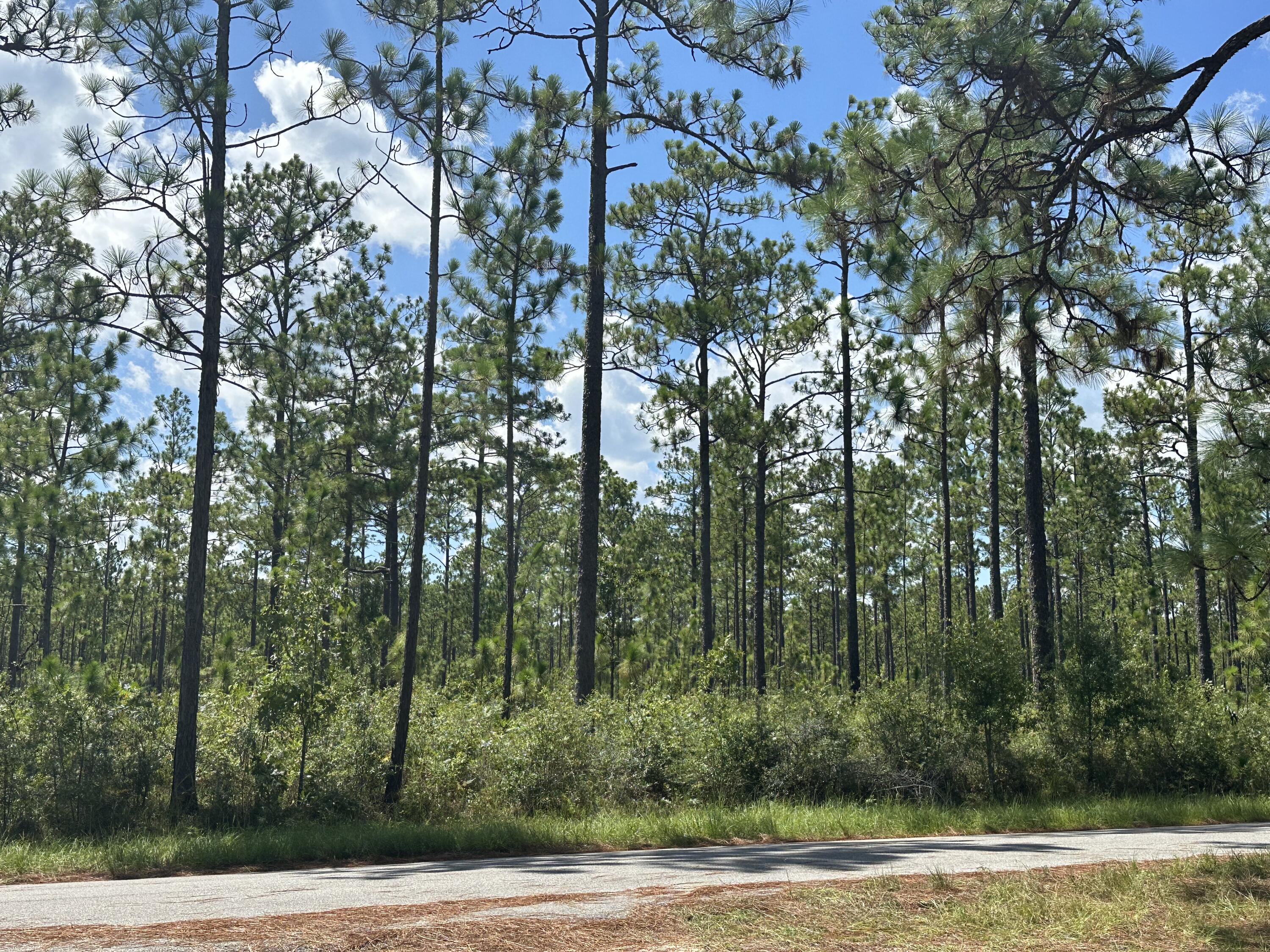 7250 Leonard Barnes Road Holt, FL 32564 - Photo 32 of 46 IMG_2696