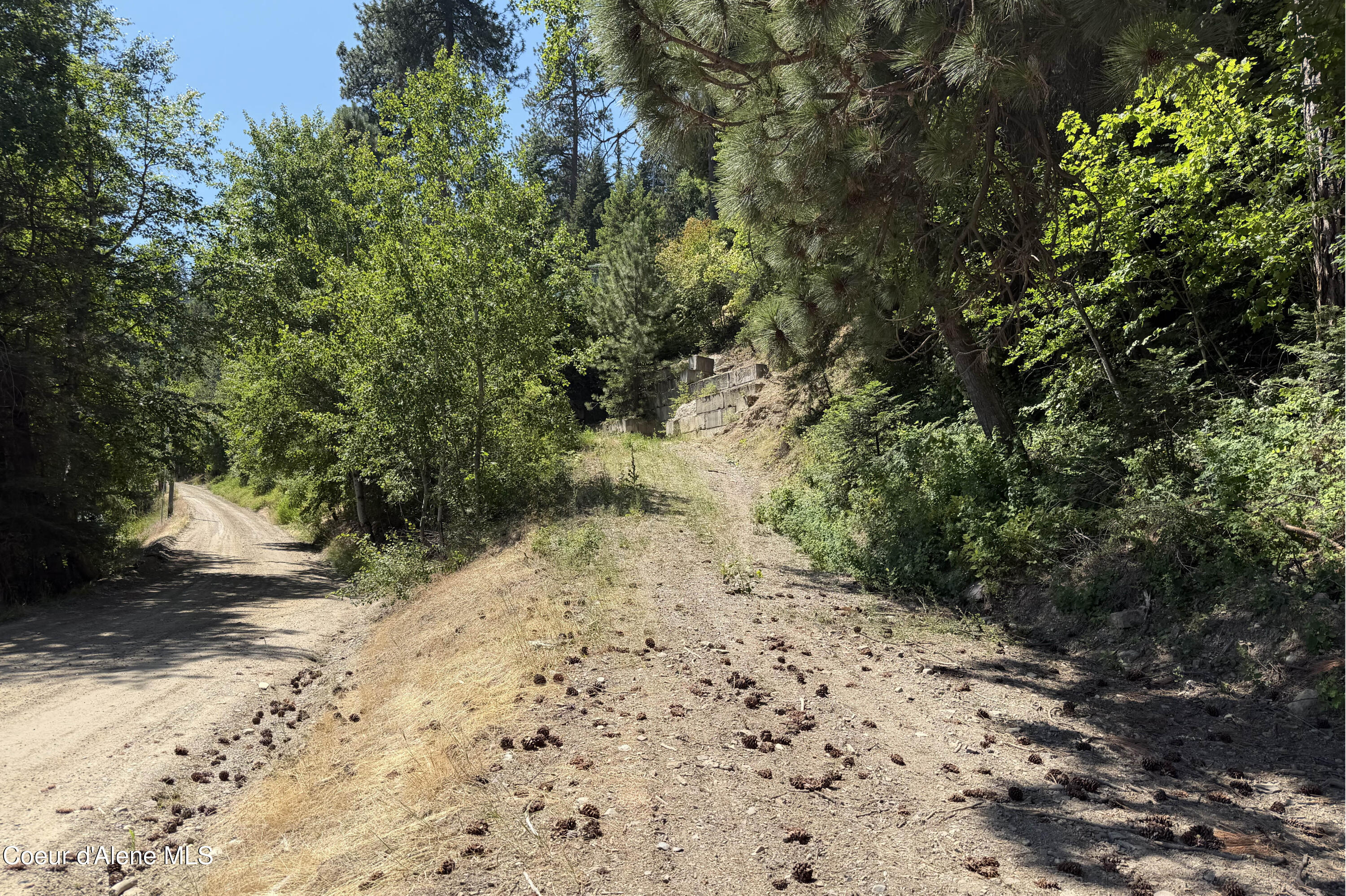Nna Talache Road Sagle, ID 83860 - Photo 5 of 16 IMG_3859