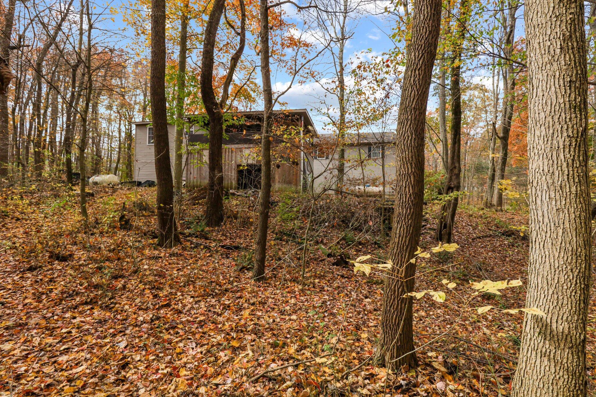 5137 Pleasant Chapel Road Southeast Newark, OH 43056 - Photo 76 of 77 Back yard