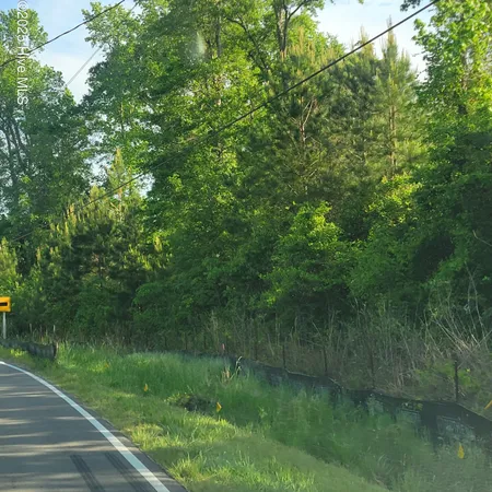 $480,000 | Lots North Wright Street, Burgaw, NC 28425