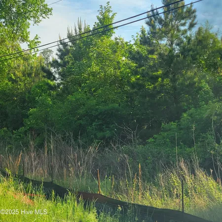$480,000 | Lots North Wright Street, Burgaw, NC 28425