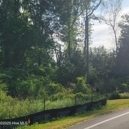 $480,000 | Lots North Wright Street, Burgaw, NC 28425