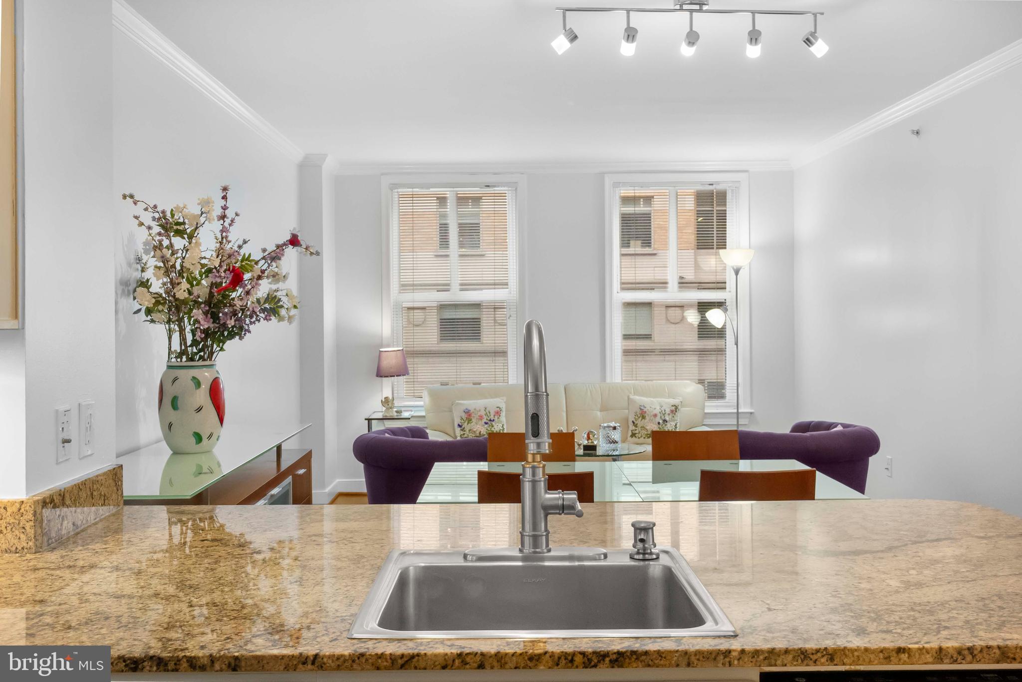 616 E Street Northwest, Unit 522 Washington, DC 20004 - Photo 14 of 43 a view of living room with furniture and a potted plant
