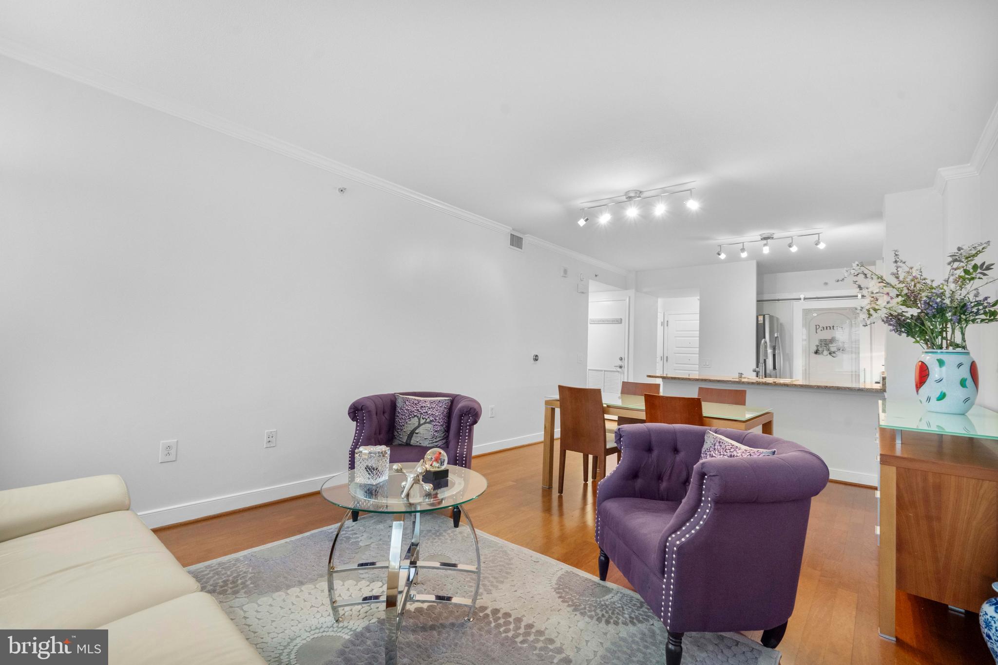 616 E Street Northwest, Unit 522 Washington, DC 20004 - Photo 5 of 43 a living room with furniture a bathtub and a potted plant