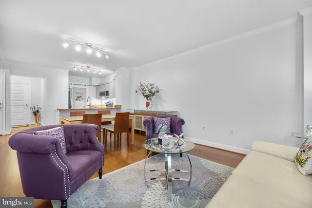 a living room with furniture a rug and a chandelier