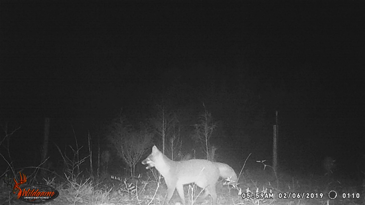 292 Still Road Monticello, FL 32344 - Photo 1 of 36 Gallery Image 1