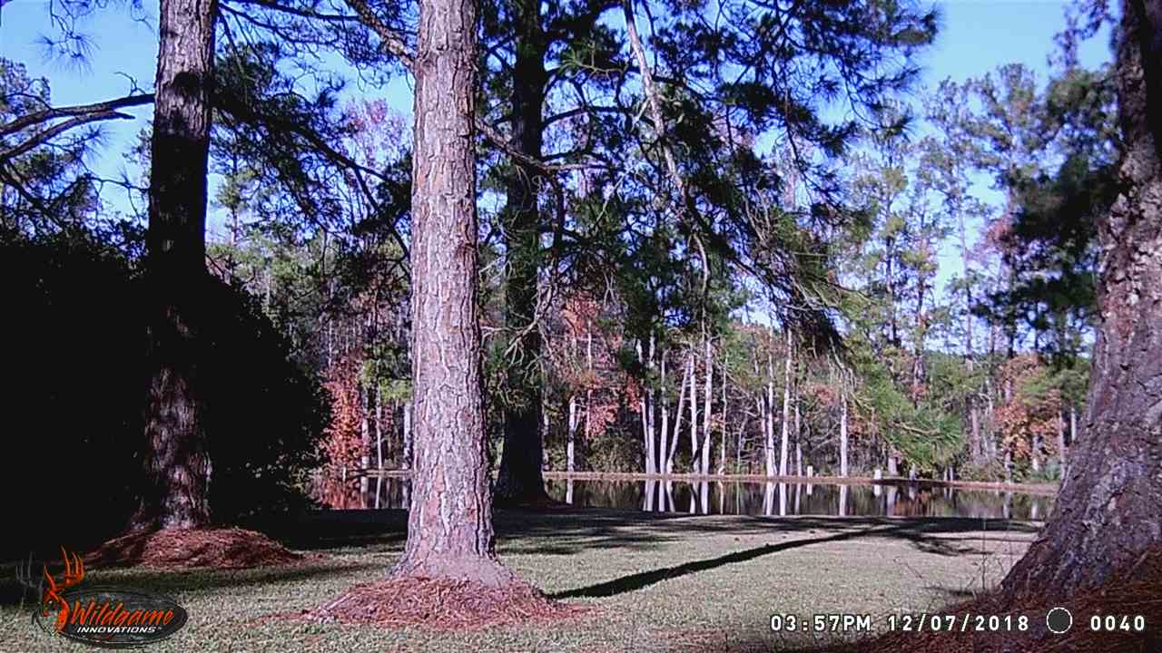 292 Still Road Monticello, FL 32344 - Photo 3 of 36 Gallery Image 3
