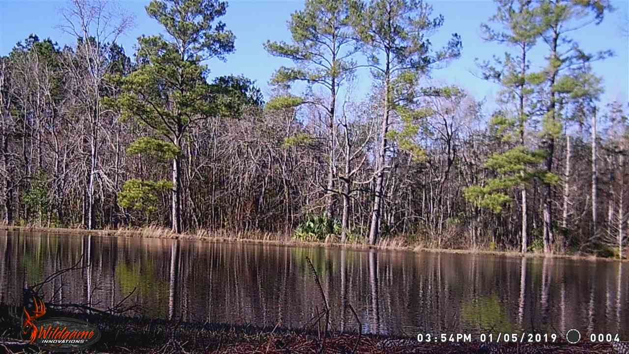 292 Still Road Monticello, FL 32344 - Photo 4 of 36 Gallery Image 4