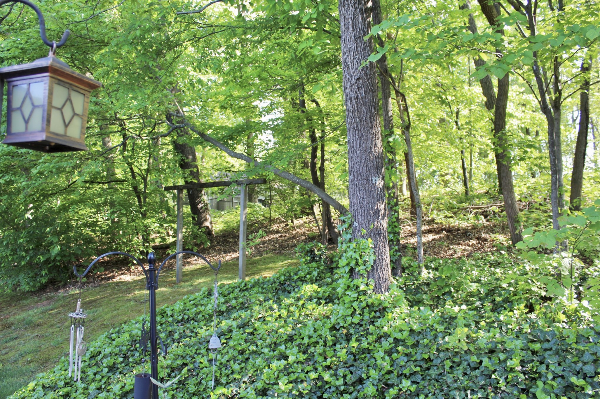 800 Oak Ridge Drive Springfield, TN 37172 - Photo 7 of 48 a backyard of a house with lots of green space and fountain