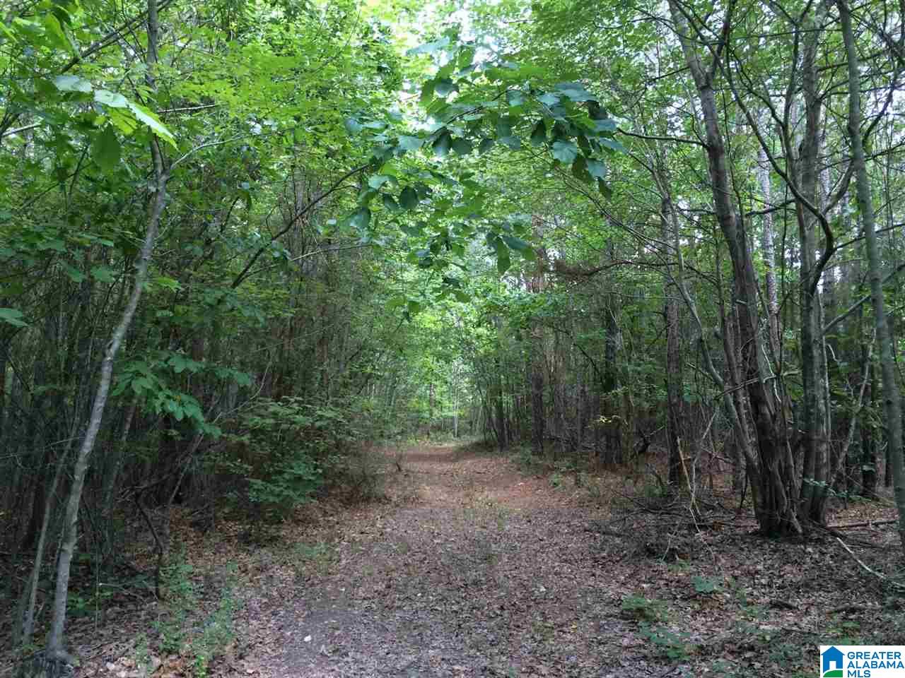 Spunky Hollow Road, Unit 18 7 Oneonta, AL 35121 - Photo 23 of 46