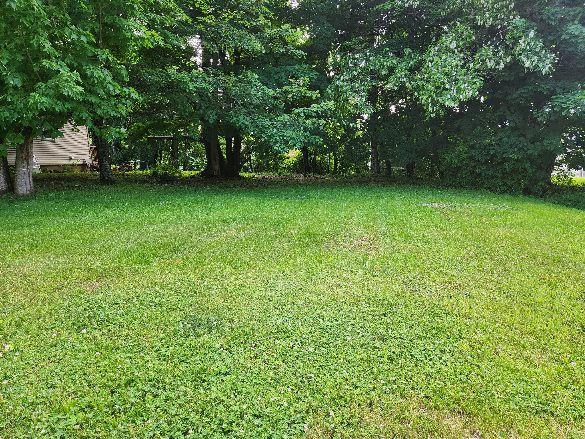24 Pine Street Ellsworth, ME 04605 - Photo 32 of 32 24 Pine St Backyard