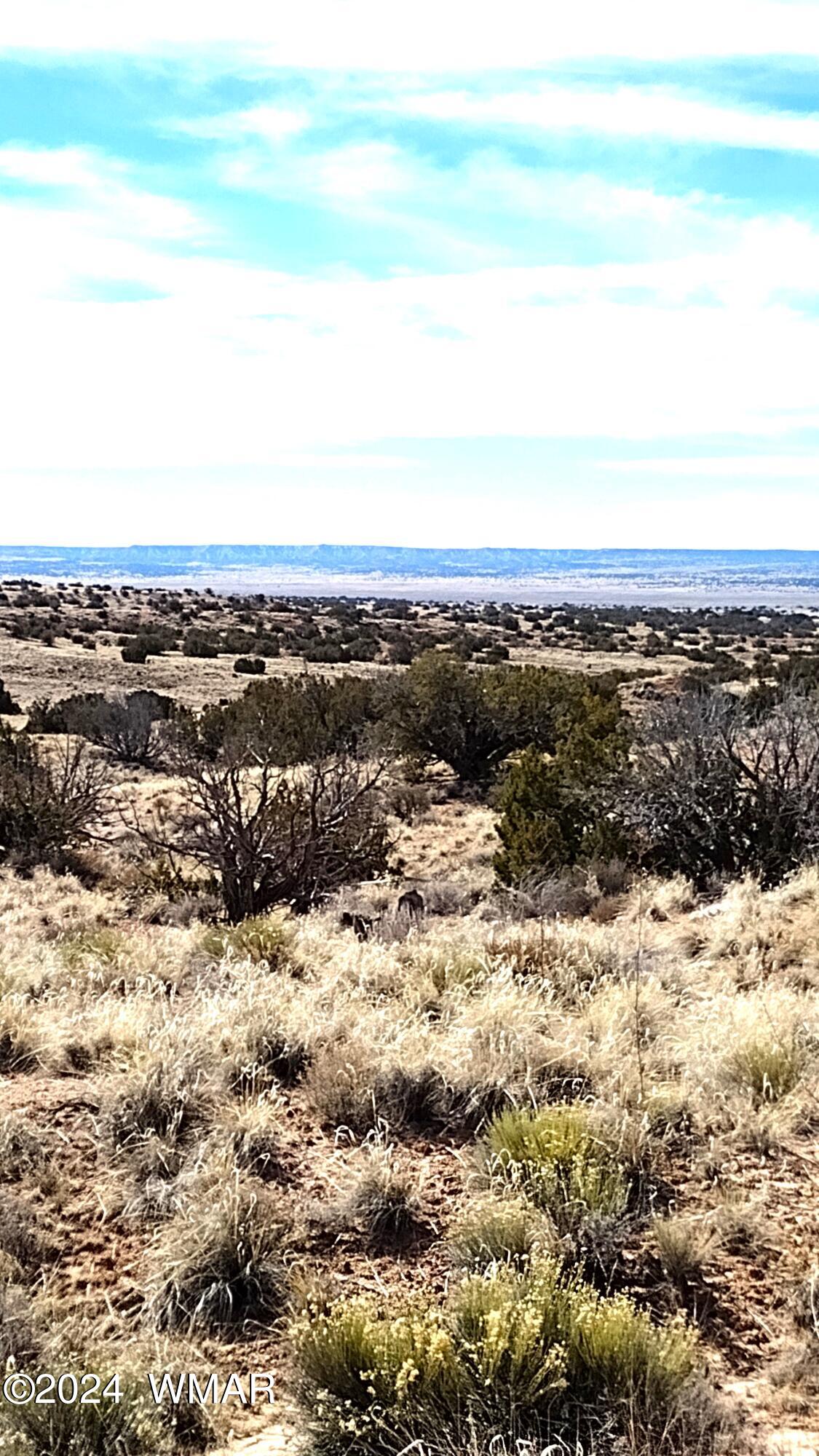85 N7355 Chambers, AZ 86502 - Photo 3 of 8 lot11.N7335.2
