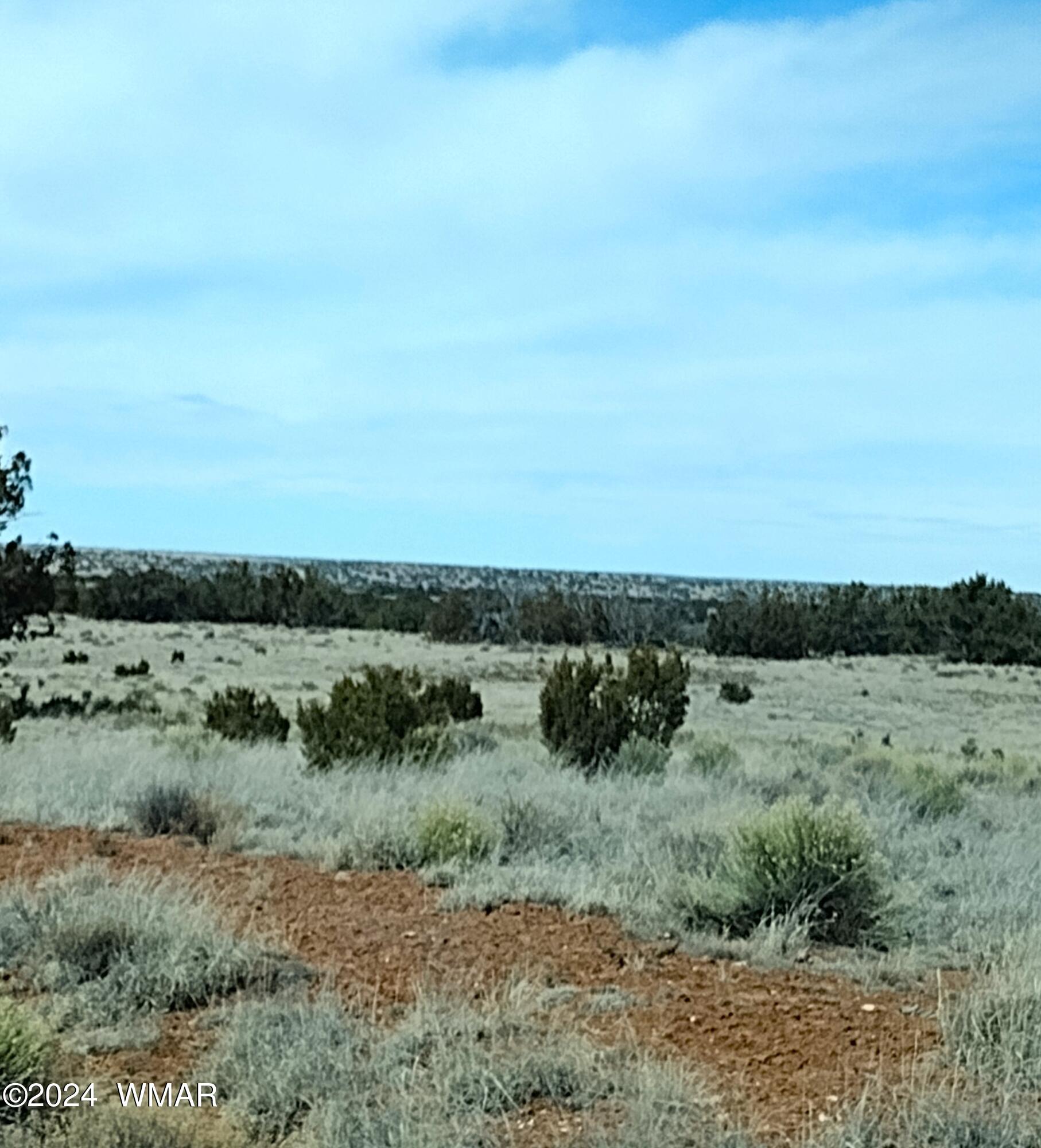 85 N7355 Chambers, AZ 86502 - Photo 4 of 8 lot11.area