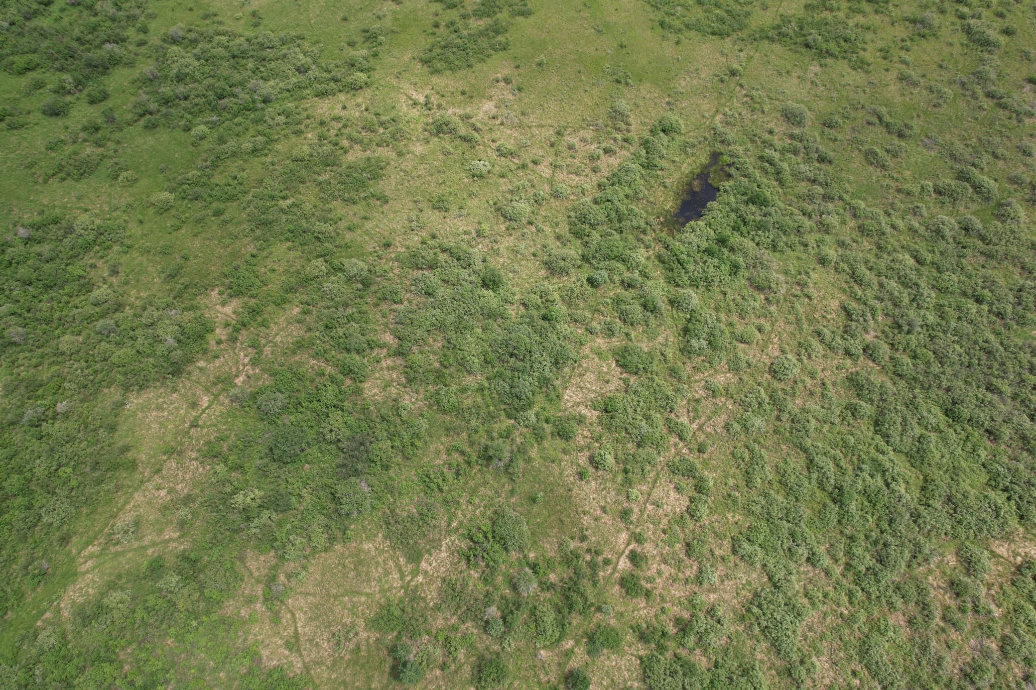 Tbd 350th Street Sebeka, MN 56477 - Photo 16 of 100