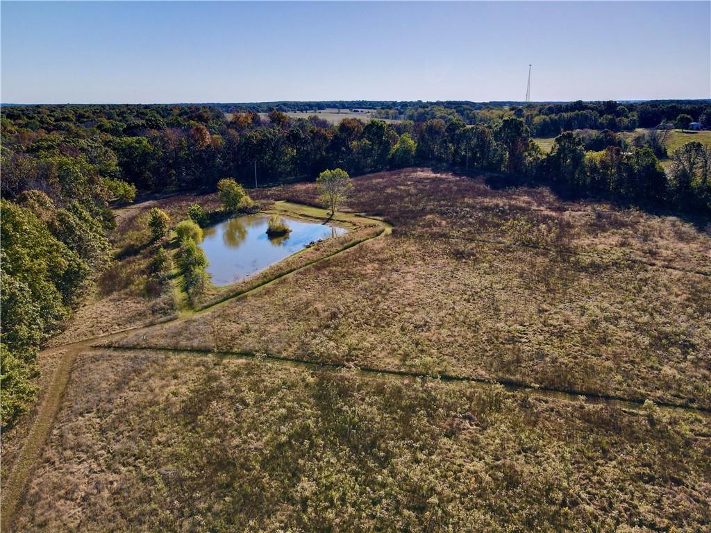 2055 East 335th Road Half Way, MO 65663 - Photo 58 of 99 Gallery Image 58