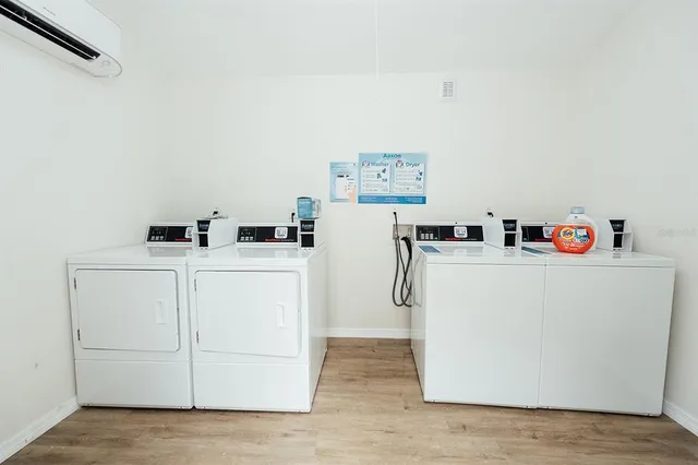 a view of a yard with plants