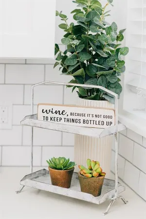 a potted plant sitting on top of a kitchen