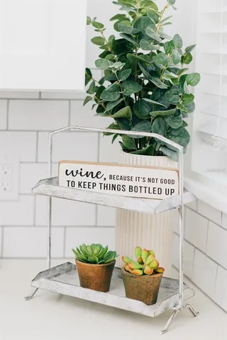 a potted plant sitting on top of a kitchen