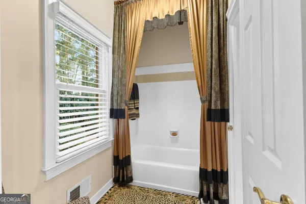 a view of a garden with plants