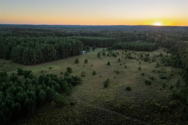 a view of a bunch of trees and mountains in the background