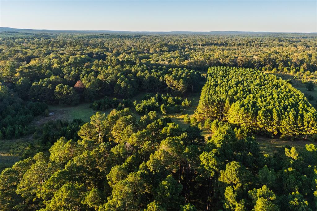 0 Farm To Market Road 23 Rusk, TX 75785 - Photo 11 of 40 an aerial view of residential building with outdoor space and trees all around