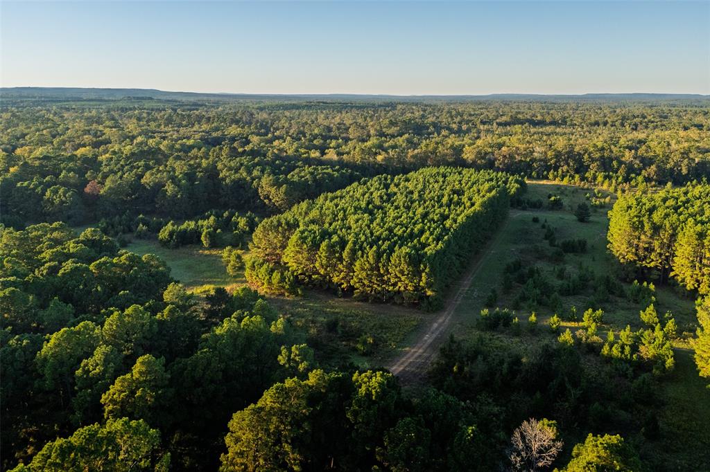 0 Farm To Market Road 23 Rusk, TX 75785 - Photo 12 of 40 a view of lake and mountain