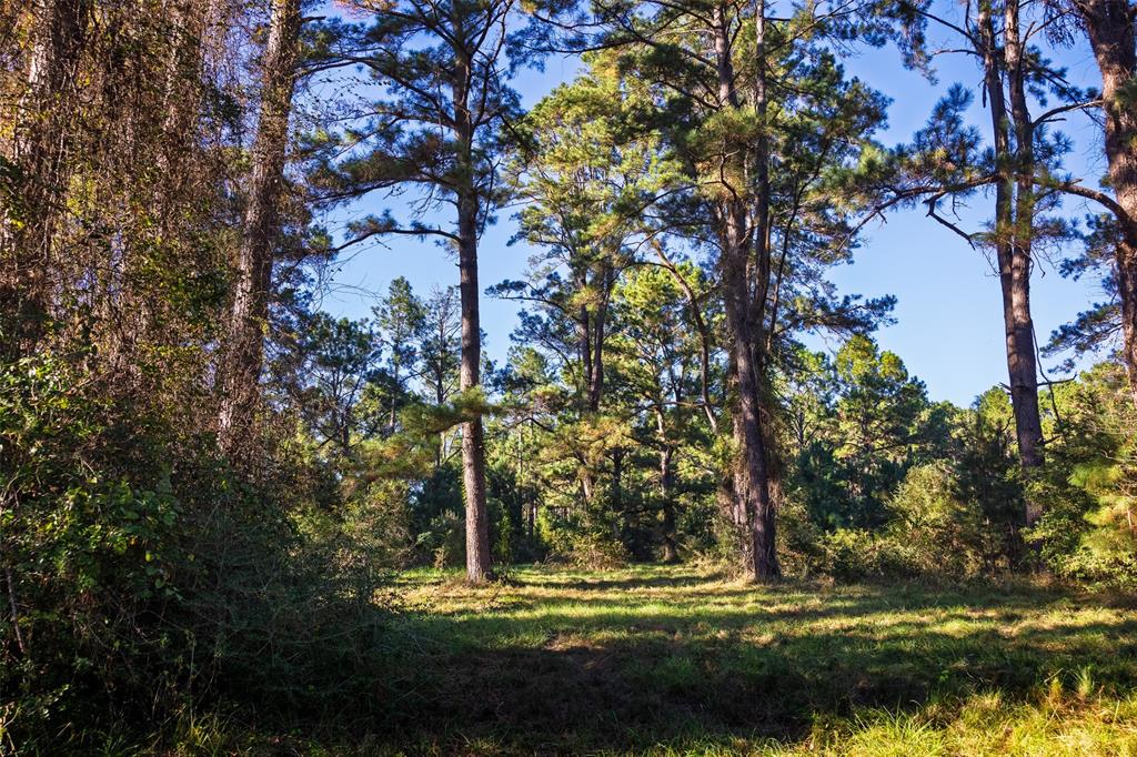 0 Farm To Market Road 23 Rusk, TX 75785 - Photo 15 of 40 a view of a yard in front of the house