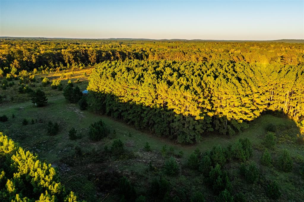 0 Farm To Market Road 23 Rusk, TX 75785 - Photo 27 of 40 a view of an ocean