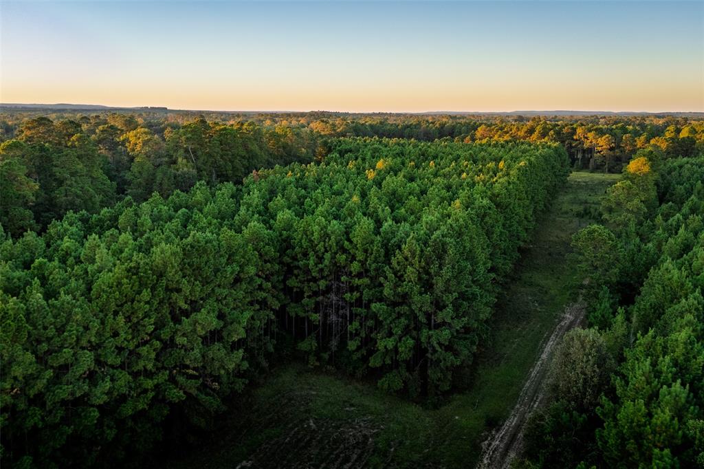 0 Farm To Market Road 23 Rusk, TX 75785 - Photo 30 of 40 a view of a city with lush green forest