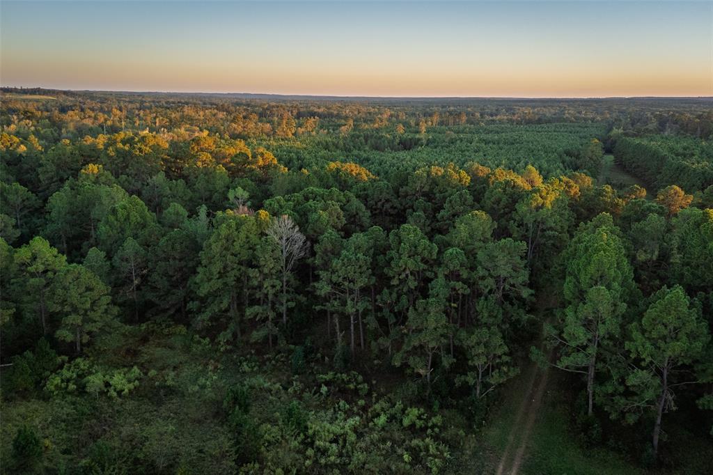 0 Farm To Market Road 23 Rusk, TX 75785 - Photo 31 of 40 an aerial view of a city with lots of residential buildings and green space