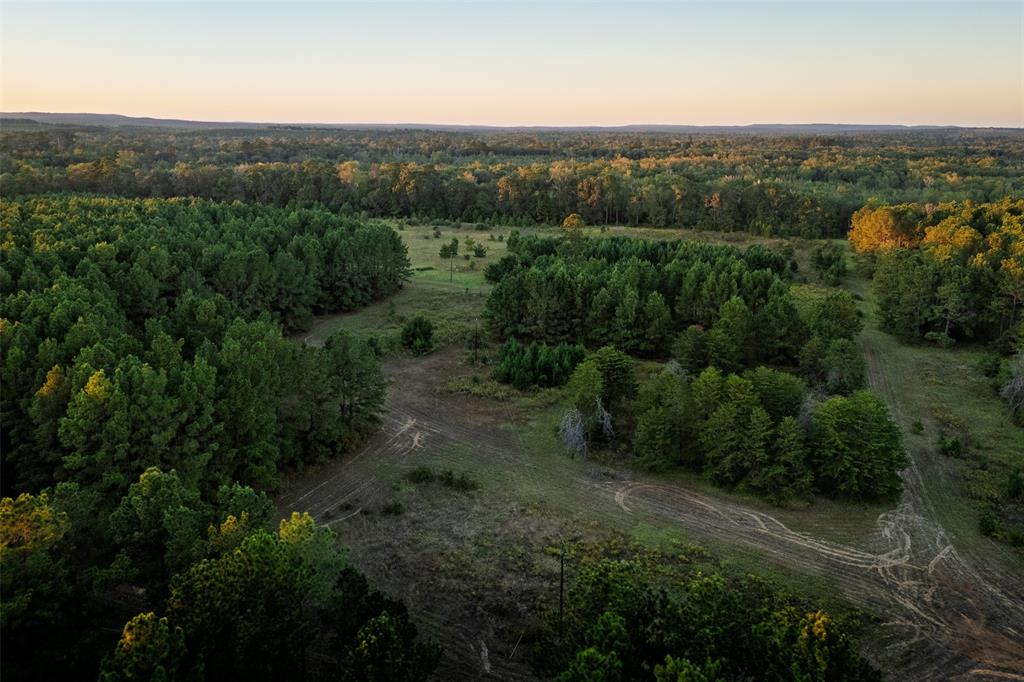 0 Farm To Market Road 23 Rusk, TX 75785 - Photo 32 of 40 an aerial view of forest