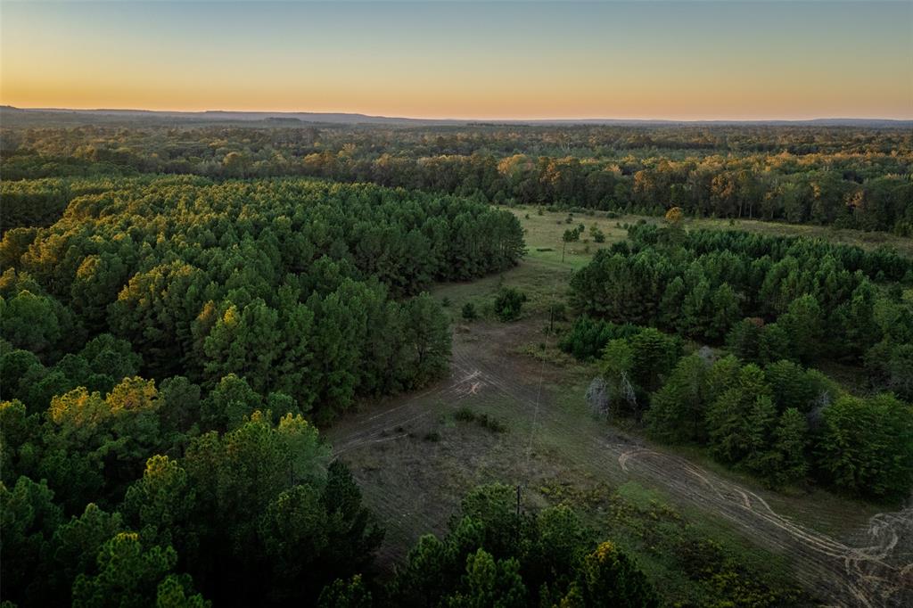 0 Farm To Market Road 23 Rusk, TX 75785 - Photo 33 of 40 a view of a city with lush green forest