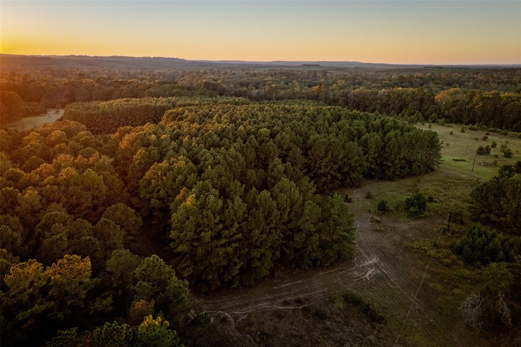 0 Farm To Market Road 23 Rusk, TX 75785 - Photo 34 of 40 a view of a lot of trees and mountains