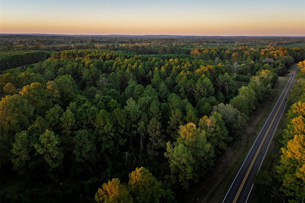 0 Farm To Market Road 23 Rusk, TX 75785 - Photo 35 of 40 a view of a city with lush green forest