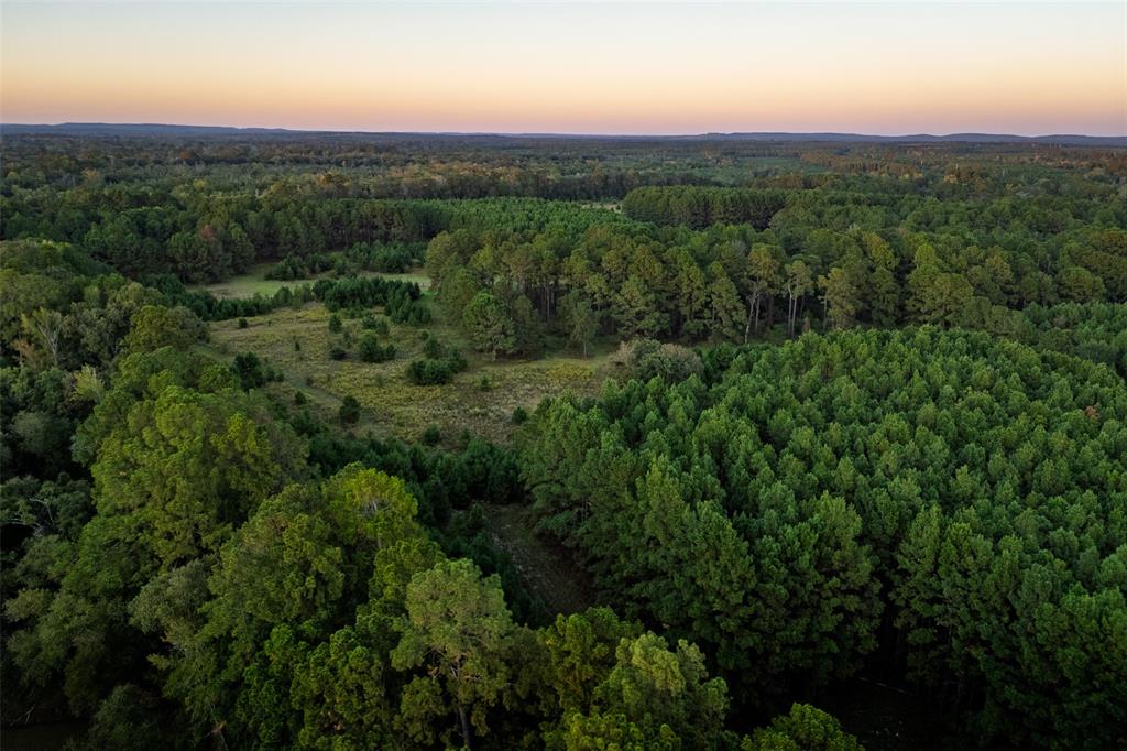 0 Farm To Market Road 23 Rusk, TX 75785 - Photo 37 of 40 a view of a green field with lots of bushes