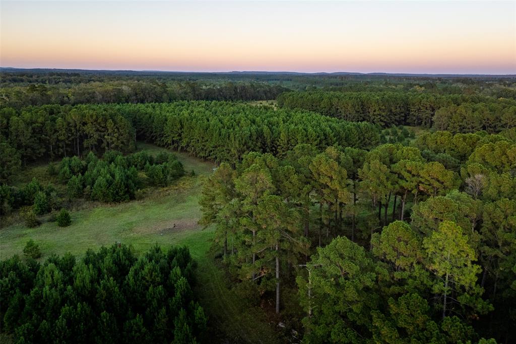 0 Farm To Market Road 23 Rusk, TX 75785 - Photo 38 of 40 a view of a green field with lots of bushes