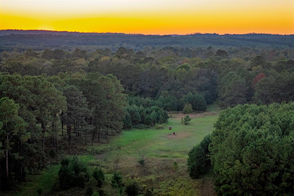 0 Farm To Market Road 23 Rusk, TX 75785 - Photo 4 of 40 an aerial view of residential houses and outdoor space