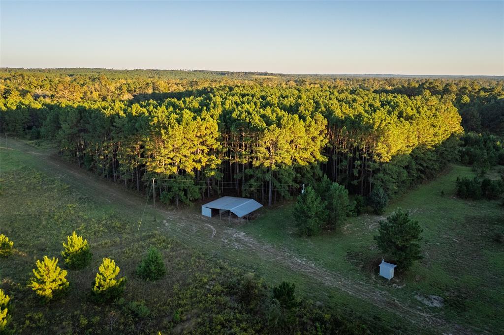 0 Farm To Market Road 23 Rusk, TX 75785 - Photo 6 of 40 a view of a lake with a mountain in the background