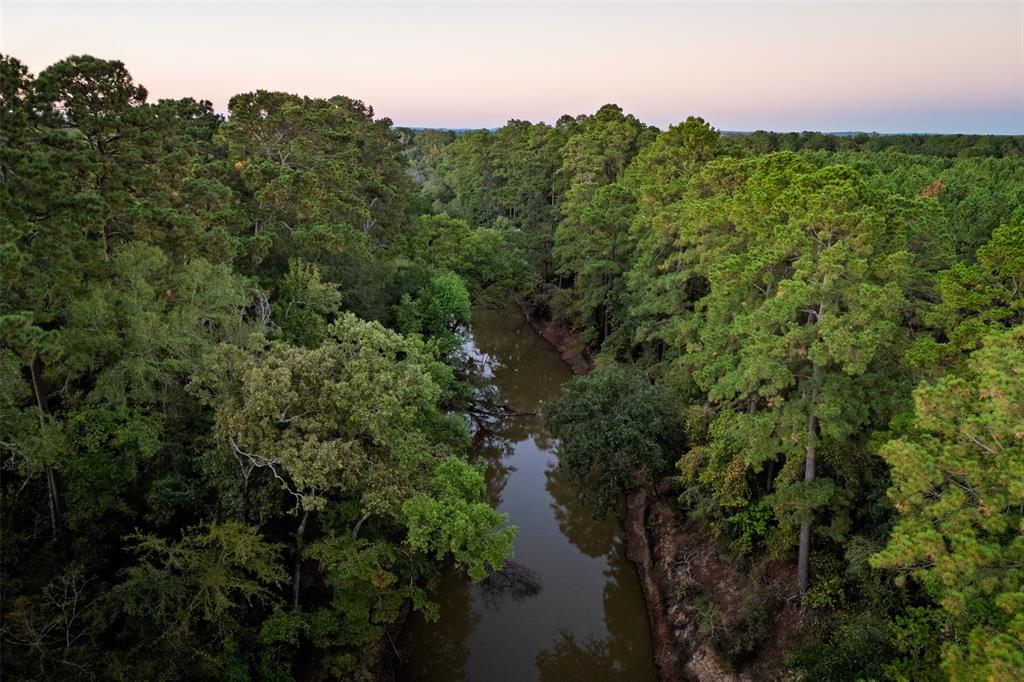 0 Farm To Market Road 23 Rusk, TX 75785 - Photo 9 of 40 a view of a forest with a street