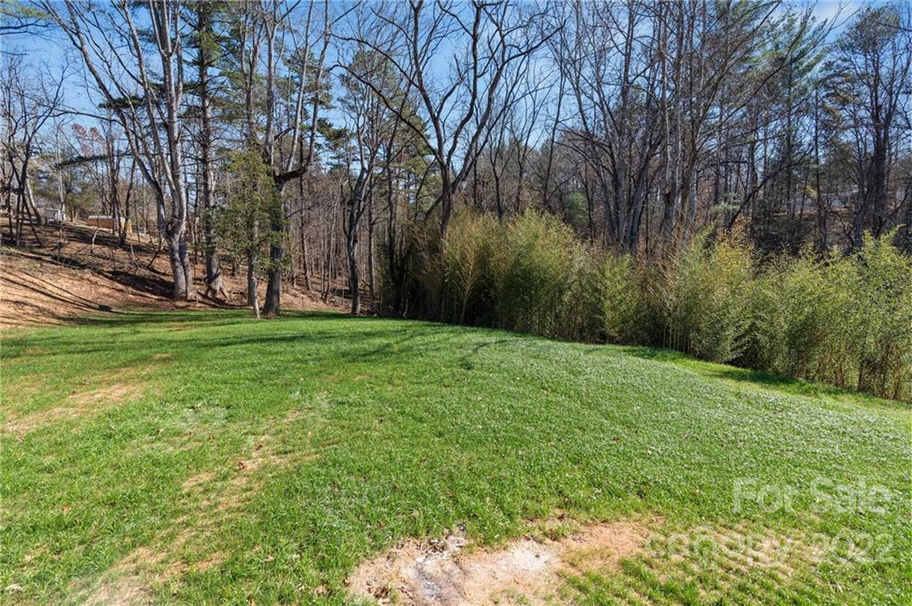 55 Cole Road Leicester, NC 28748 - Photo 26 of 27 Gallery Image 26
