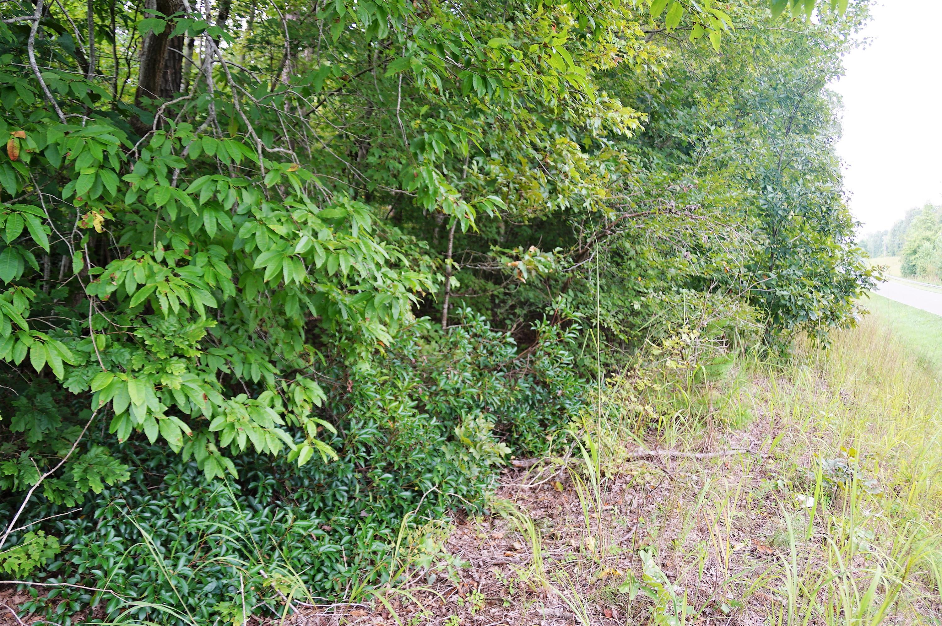 0 Highway 134 Star, NC 27356 - Photo 2 of 6 DSC03073 (2)