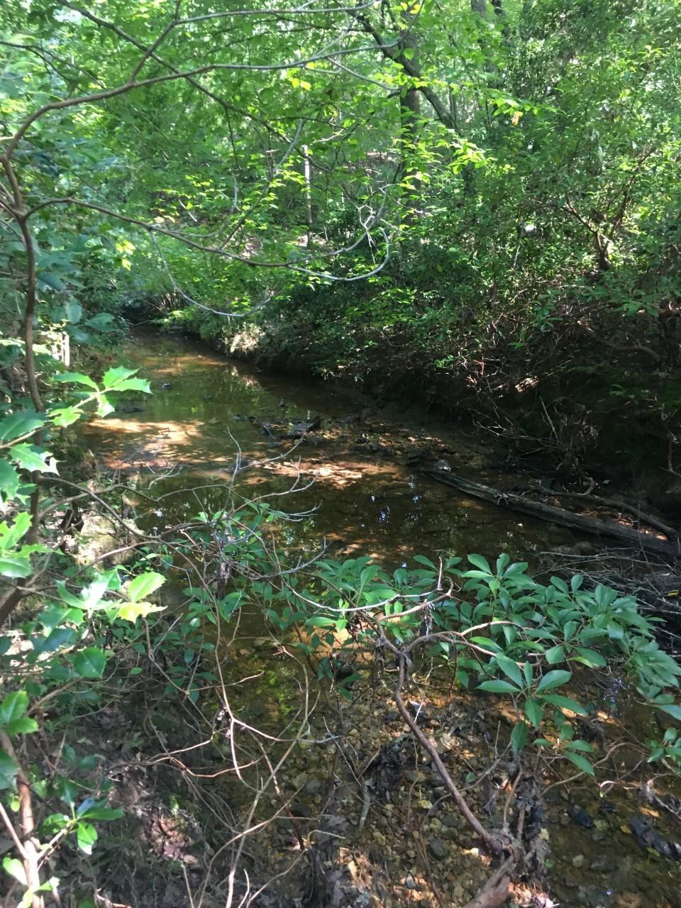 0 Highway 134 Star, NC 27356 - Photo 6 of 6 134 Creek
