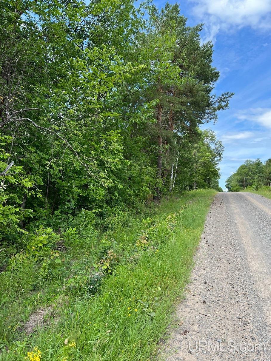 Tbd1 Norback Road Watton, MI 49970 - Photo 21 of 24