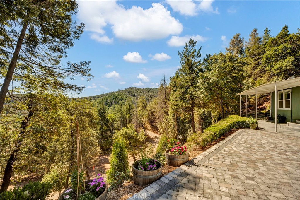 14986 Western Mine Road Middletown, CA 95461 - Photo 30 of 60 a view of a backyard of the house