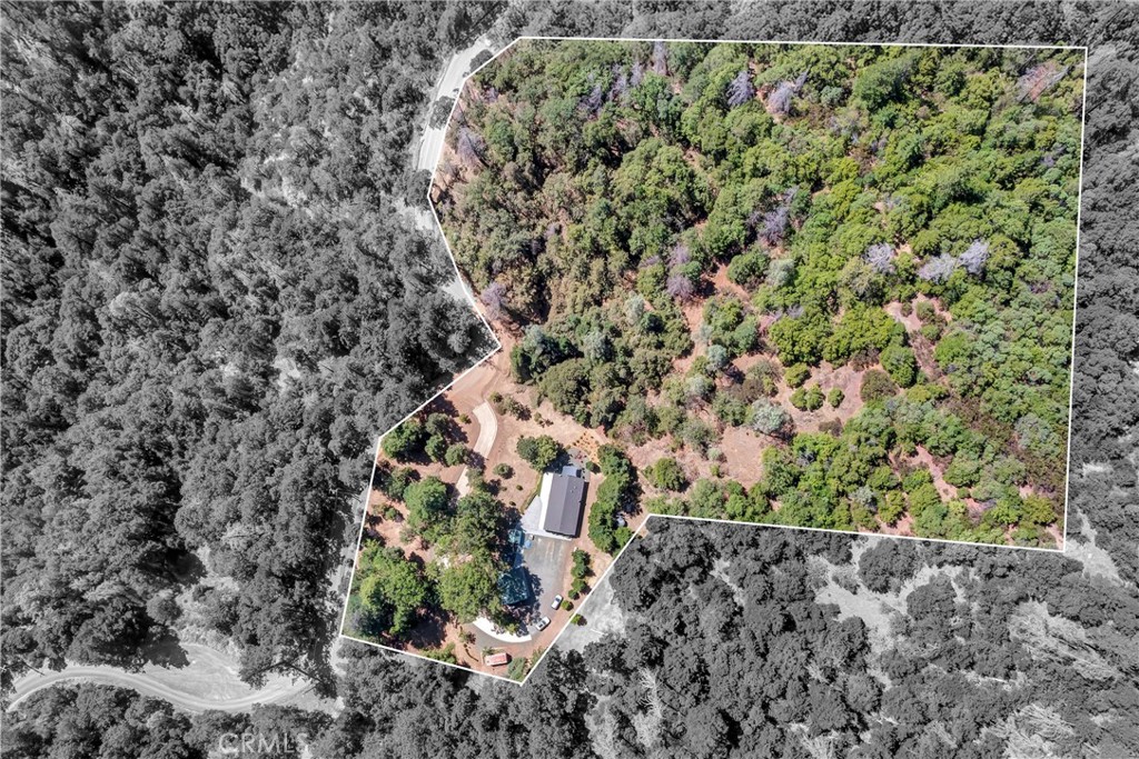 14986 Western Mine Road Middletown, CA 95461 - Photo 33 of 60 a view of a garden with a tree