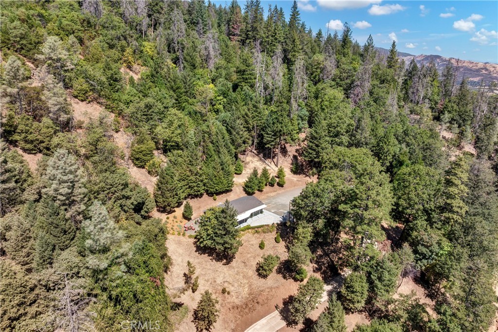 14986 Western Mine Road Middletown, CA 95461 - Photo 40 of 60 a view of a forest with a tree