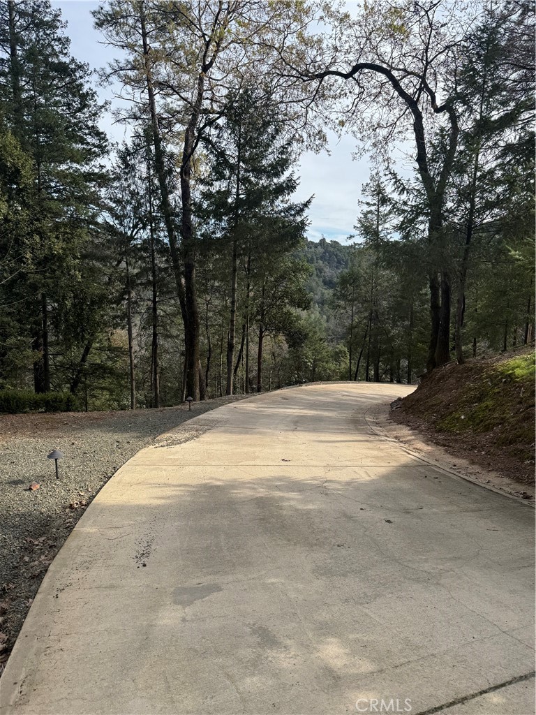 14986 Western Mine Road Middletown, CA 95461 - Photo 41 of 60 a view of backyard space